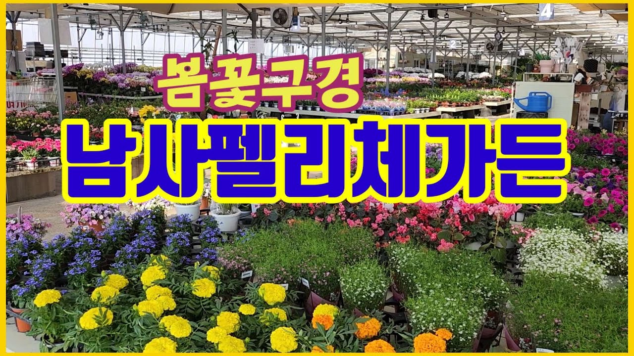 남사펠리체가든에서 식쇼핑하기🌺💮🌸🍀🌹 봄꽃구경  하세요~~