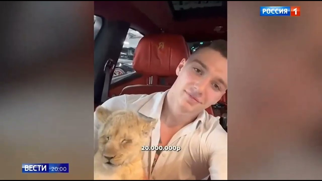 🦁❤️Шейла и🦁❤️Али. Репортаж о Парке Земля Прайда🫶/📷Вести