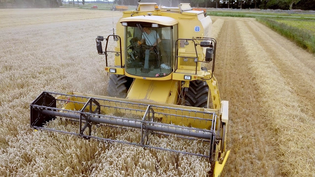Arnoud van Arkel aan het tarwe combinen met een New Holland TX63 combine.