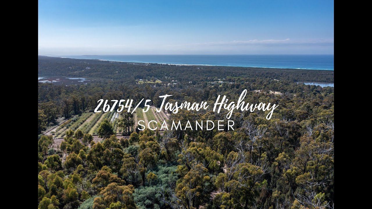 26754/5 Tasman Highway, Scamander