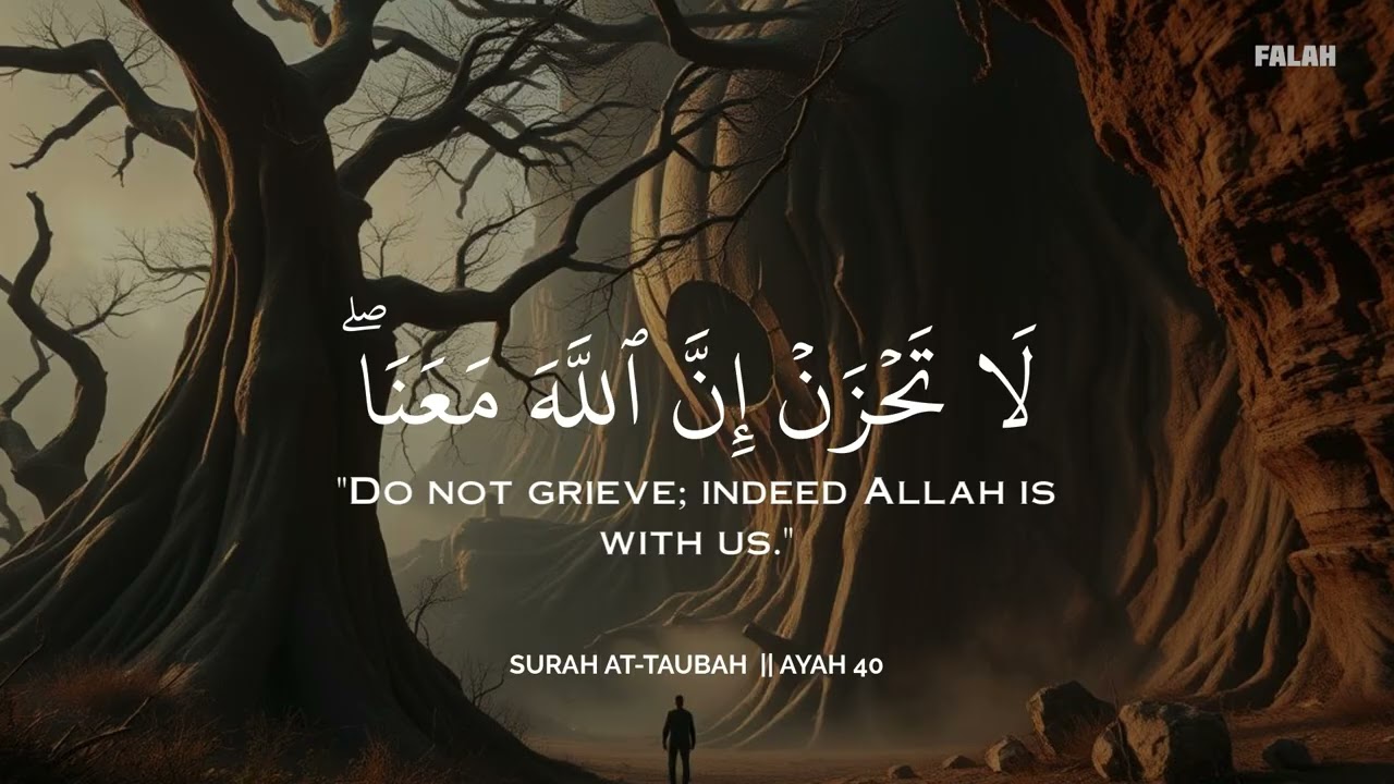 تلاوة هادئة تريح القلب والعقل 💛😴 | ساعة كاملة🕛 | Calm Quran Recitation