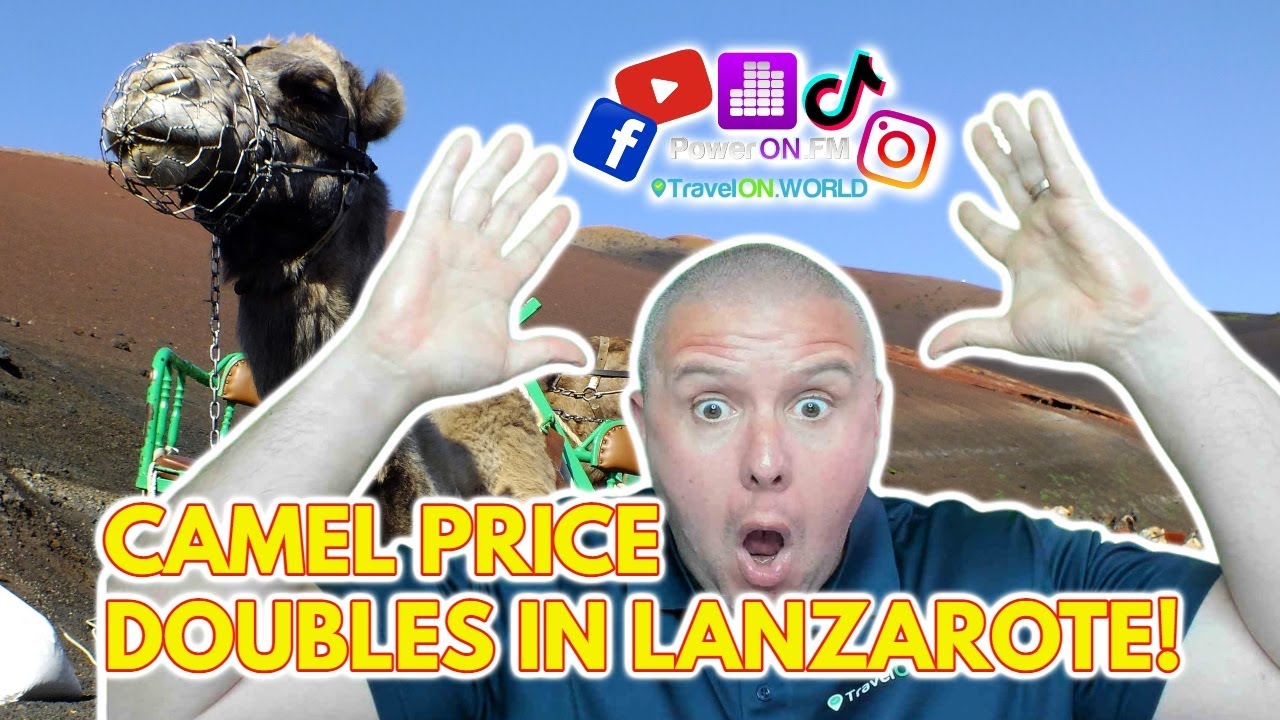 Camel Ride in Lanzarote - A full look at what you will get on a Lanzarote camel ride - Prices double