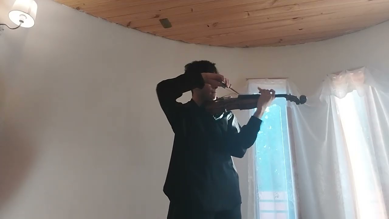 Schumann Sonata N.1  #violin