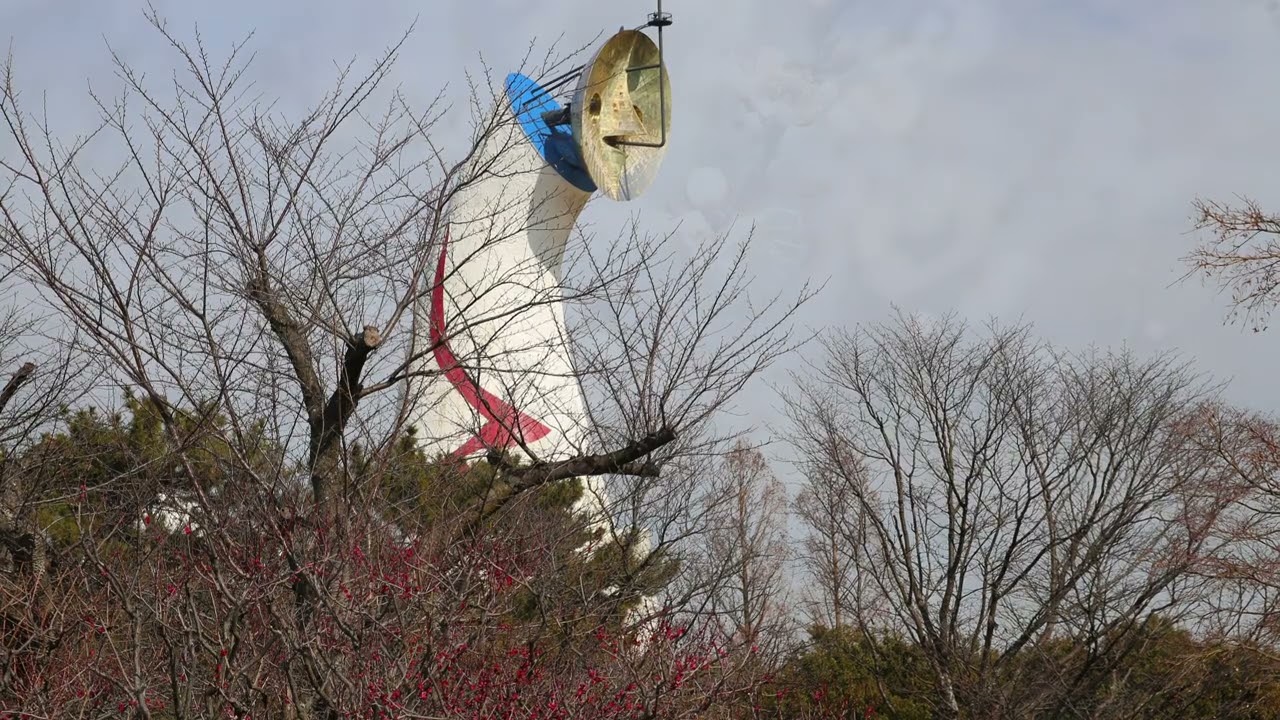 万博記念公園の梅林（2026年02月）