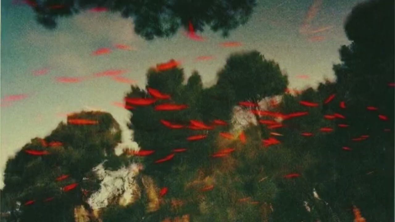 (free) bon iver experimental x indie folk electric guitar type beat - 