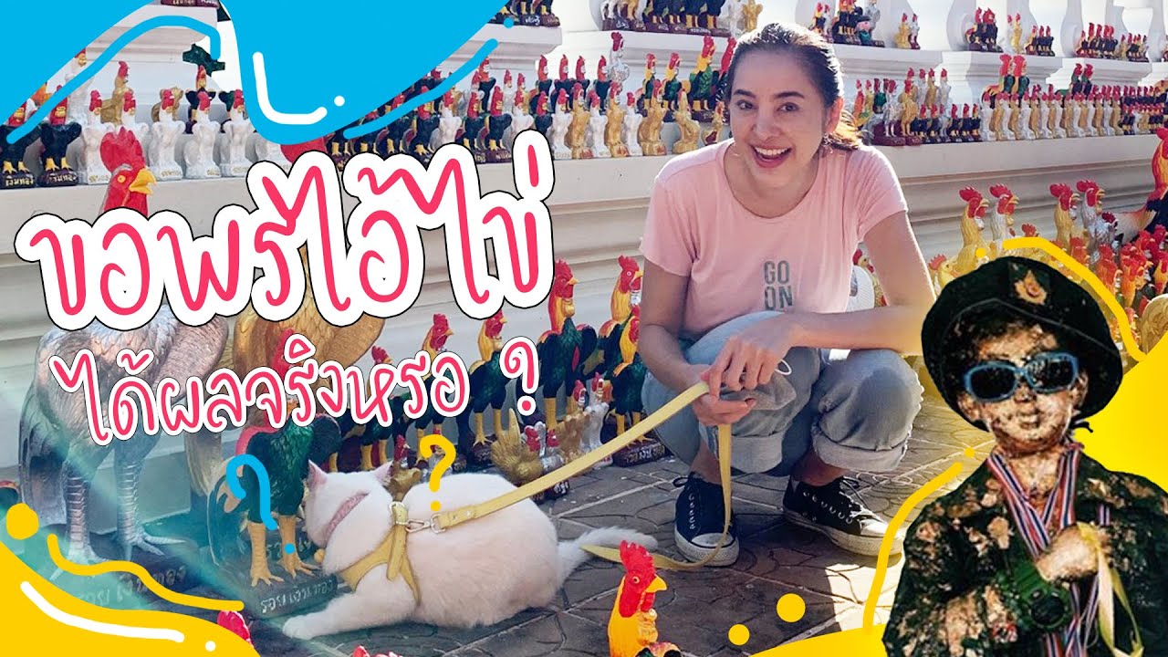 ขอพรกับไอ้ไข่วัดเจดีย์ ได้ตามคำขอจริงหรอ?|