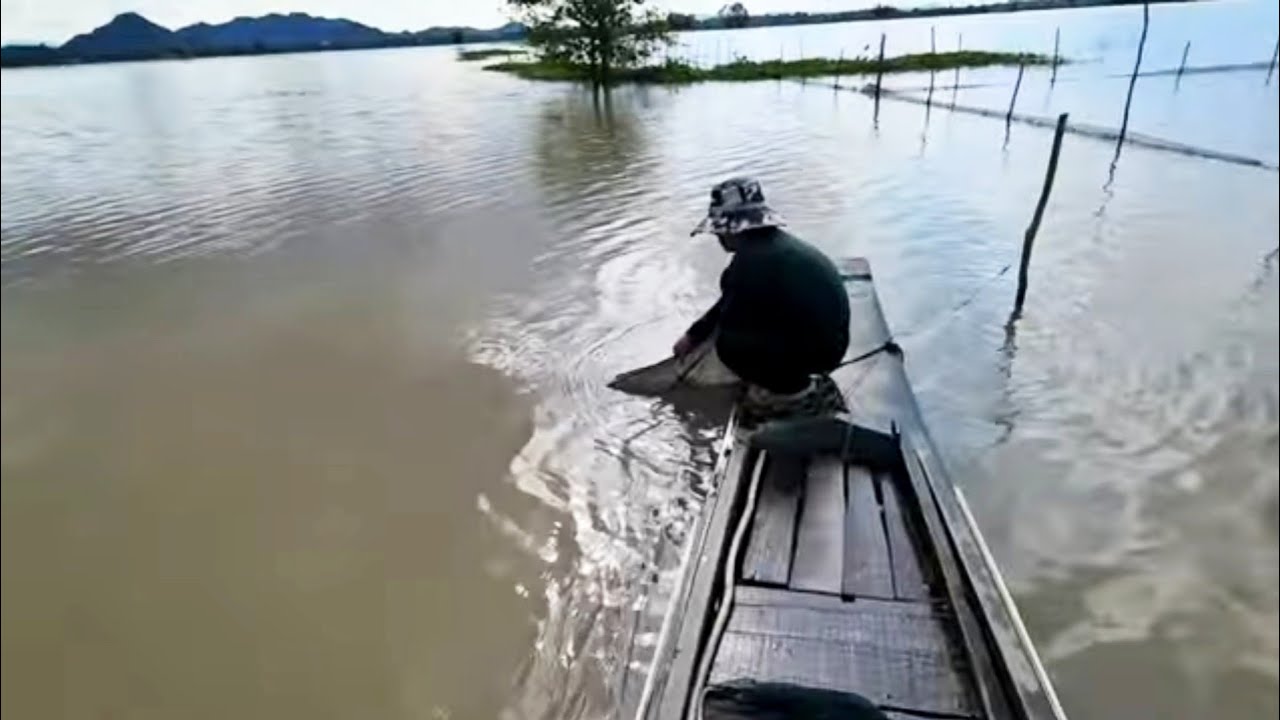 Mùa Nước Nổi Cánh Đồng Tha La – Cá Đồng Đầy Ấp Mùa Đổ Dớn | Fish Trap Season on Tha La Canal