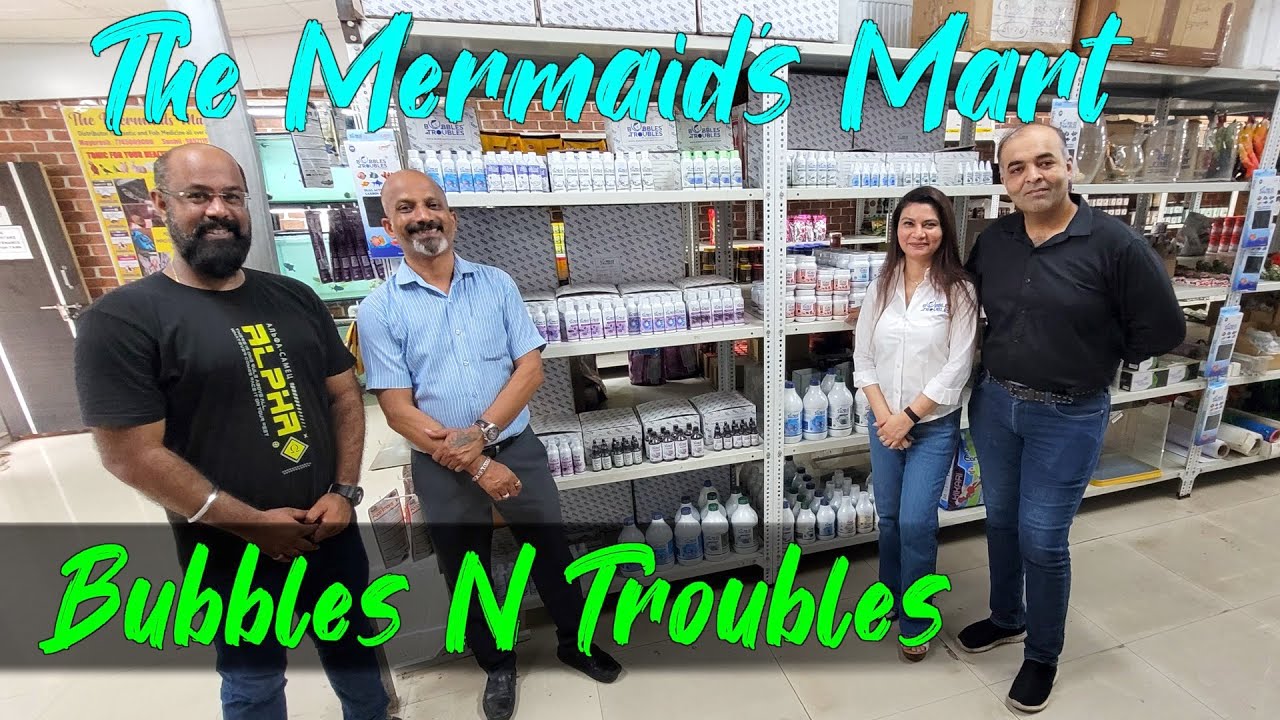 Bubbles N Troubles Fish Medicines I Bubbles N Troubles Fish Food I The Mermaid's Mart