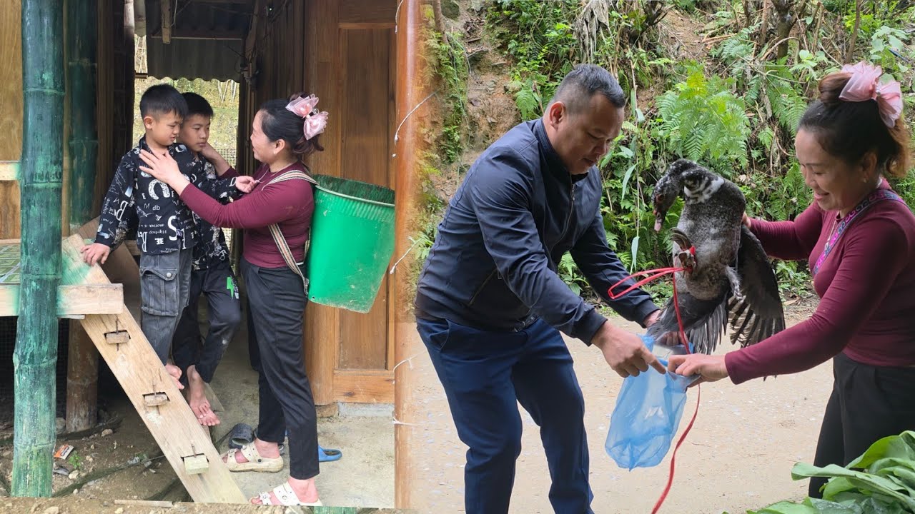 A single mother: harvesting vegetables and selling ducks to earn money to raise her child.dangthidu 