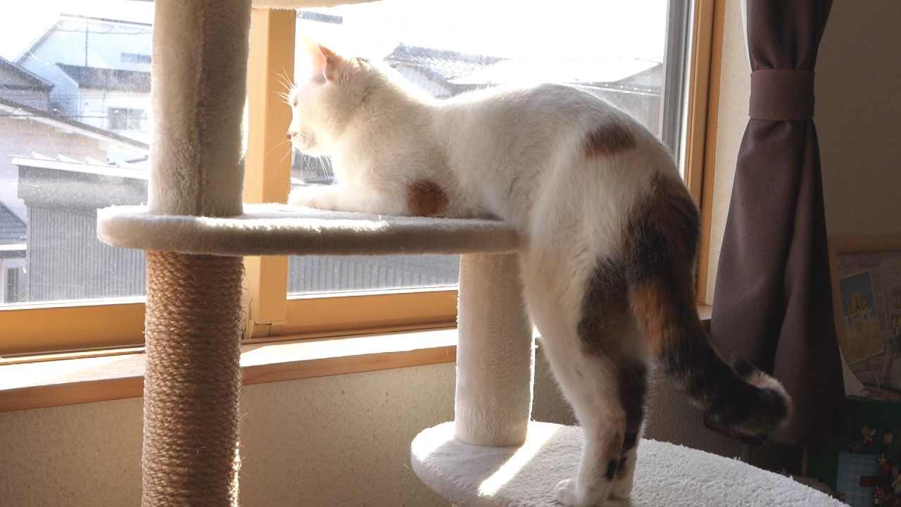 こふくの部屋３９２