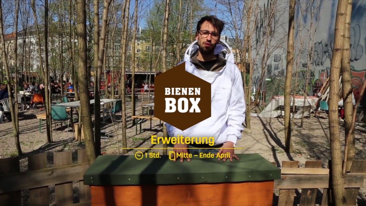 Erweiterung im Frühjahr in der BienenBox | BienenBox.de