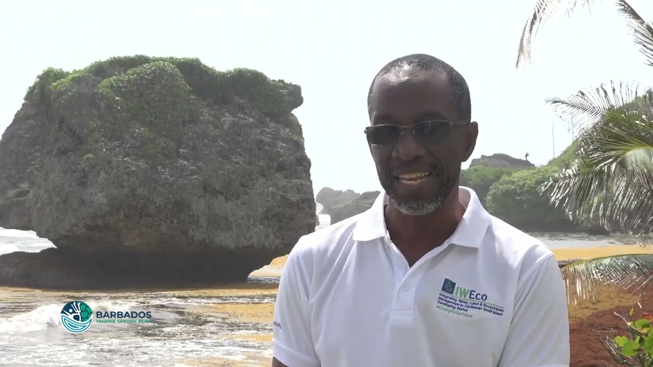 Episode 9 (part 2) BMSP Seaside Chat- The Impact of Plastic Pollution on our Seas