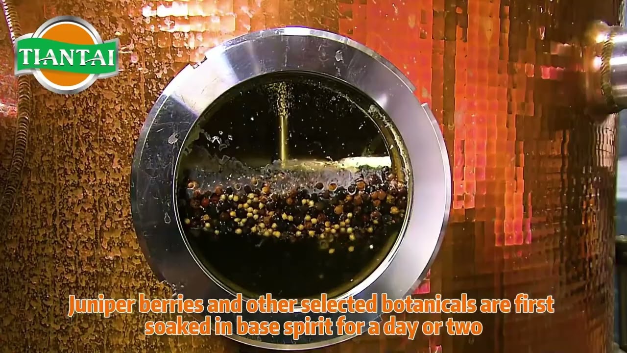 The Distillation Process of Gin- Gin distillery equipment