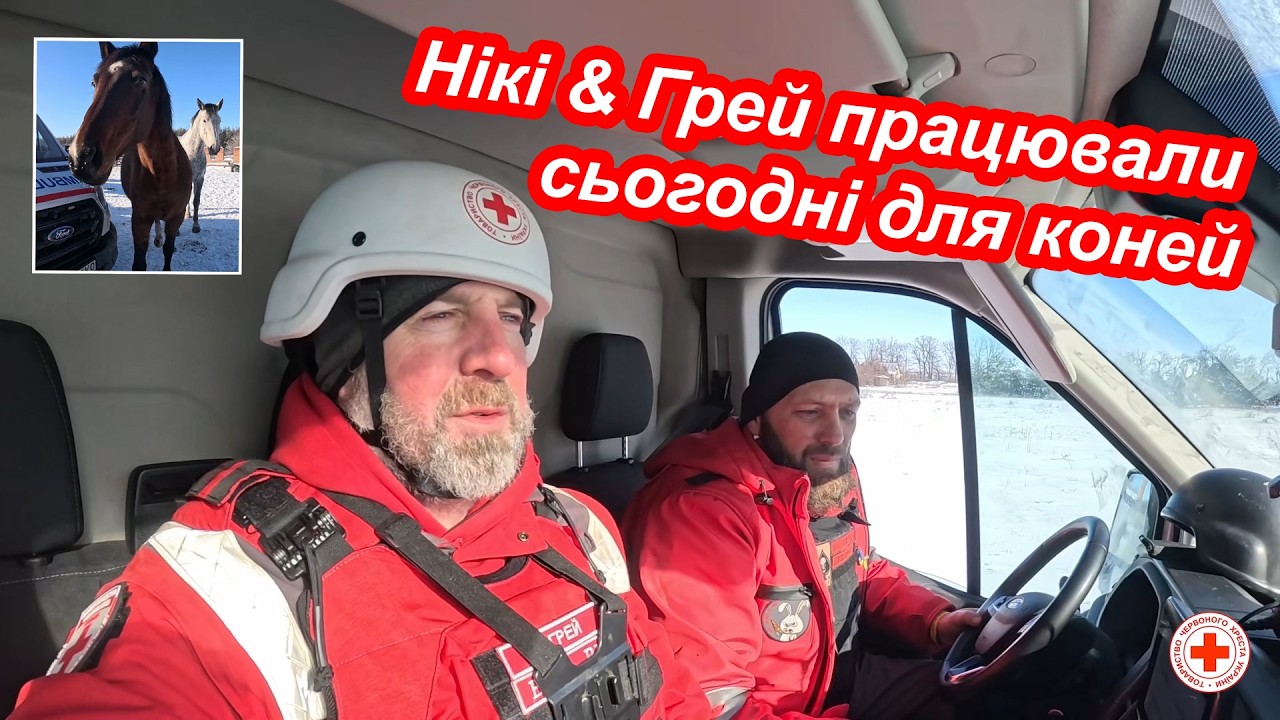 Нікі & Грей працювали сьогодні для коней )