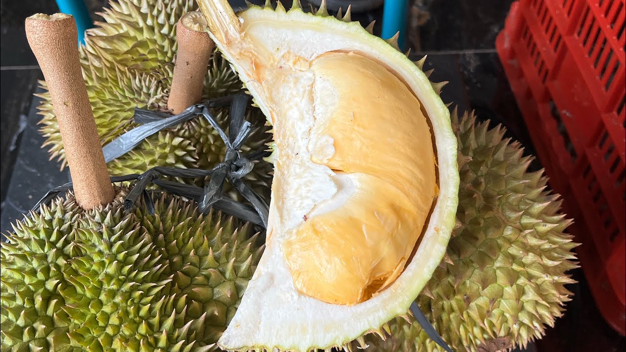 Cara simpel pilih durian kualitas bagus