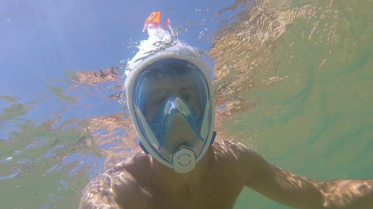 Snorkel en el Algarve (Lagos)