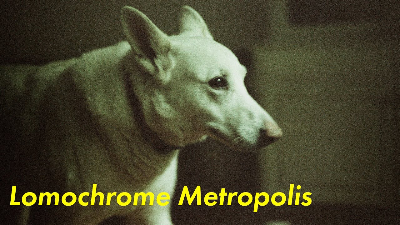 Lomochrome Metropolis First Impressions - What is Lomography?