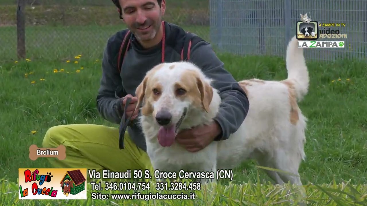 RIFUGIO LA CUCCIA (22) Punata 1498