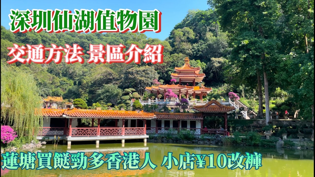 蓮塘口岸好去處｜深圳仙湖植物園｜交通方法 景區介紹｜蓮塘買餸勁多香港人｜街坊小店¥10改褲｜深圳一日遊｜農曆新年好去處