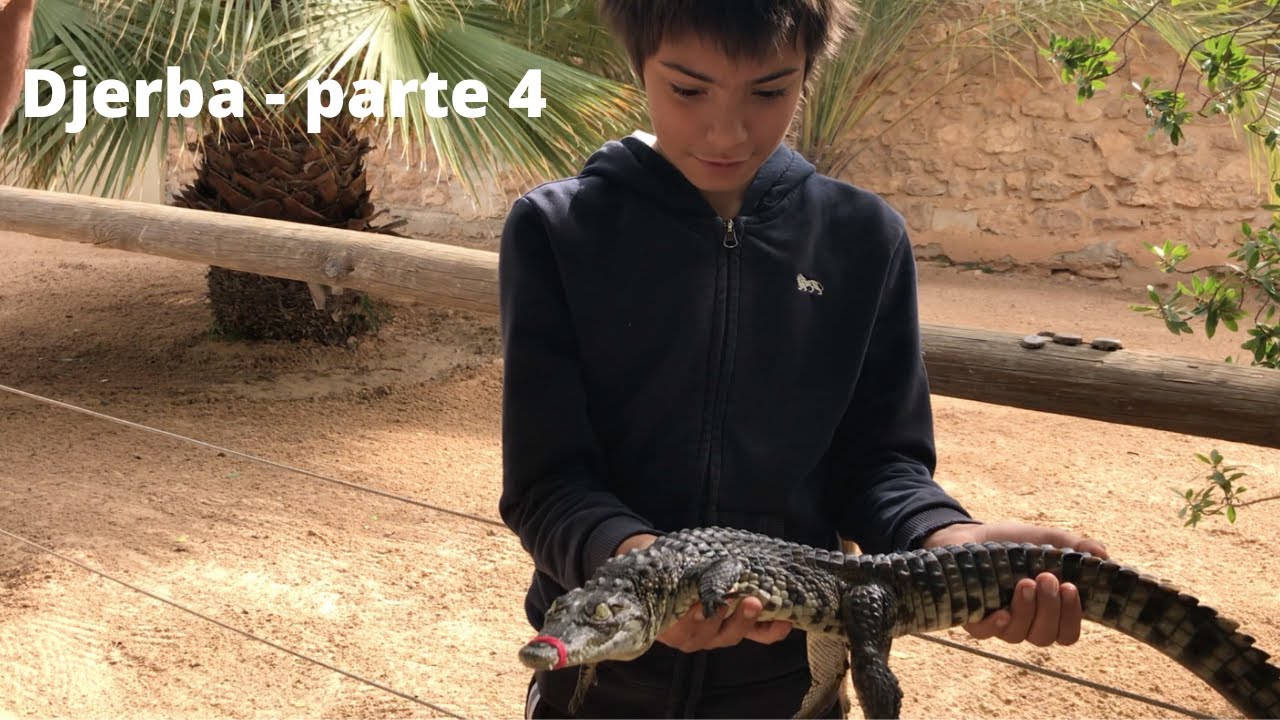 Ep.15 - TUNISIA in camper - Djerba (parte 4/4)