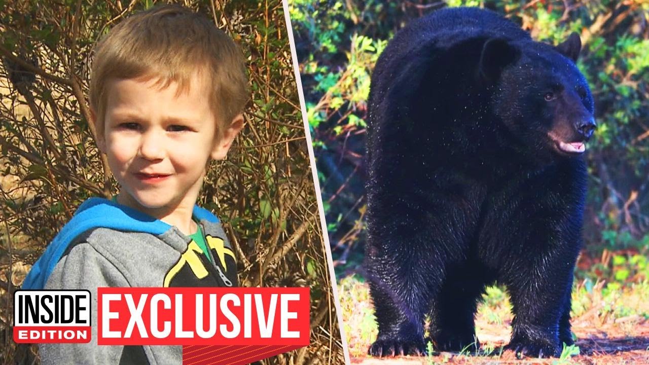 Could a Bear Keep You Safe in the Wild?