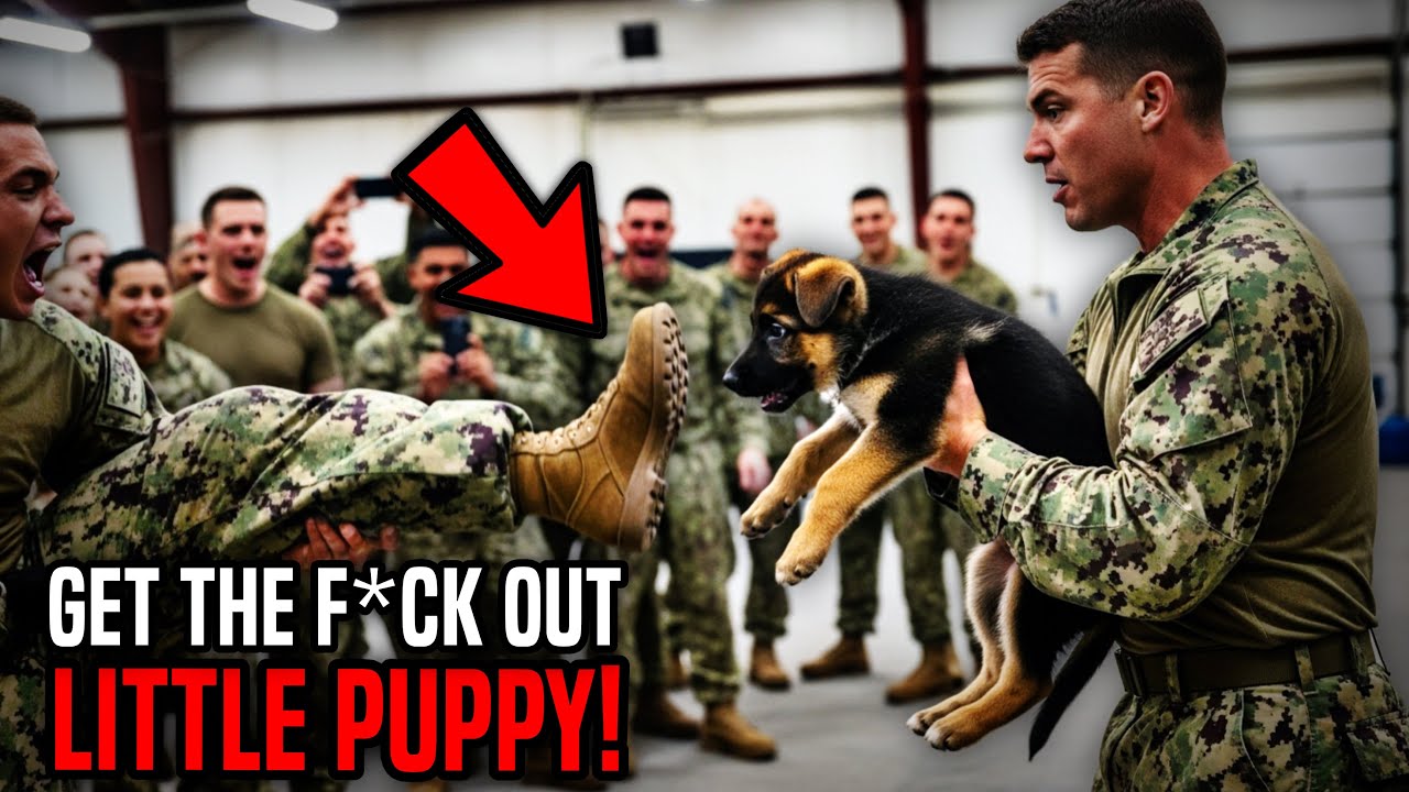 Они выгнали маленького щенка, а потом поняли, что он самый молодой служебный пёс из подразделения...