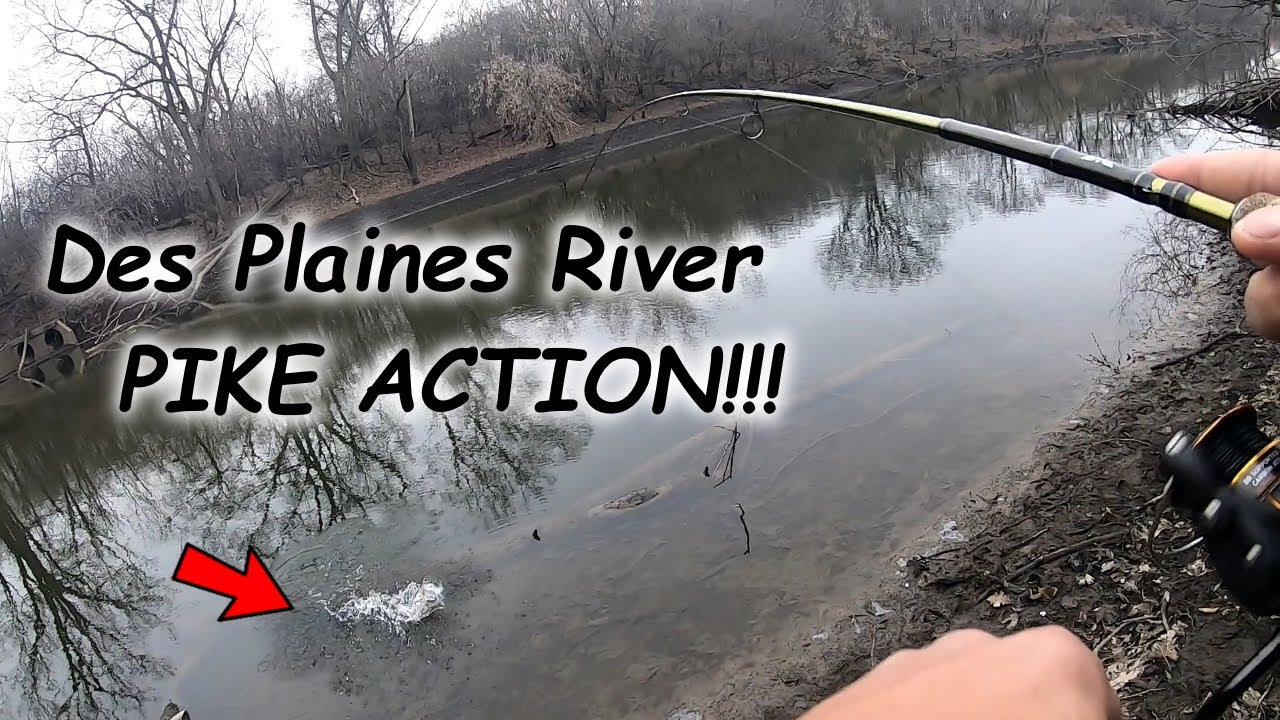 Fishing the Des Plaines River for Some WINTER PIKE!!! (12/29/2019)