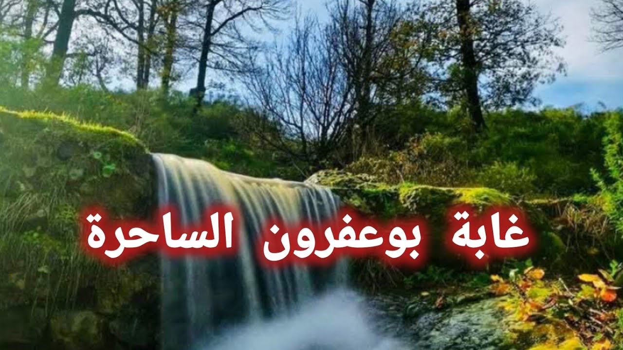 جمال غابة بوعفرون جيجل  روعة الطبيعية الجزائرية 