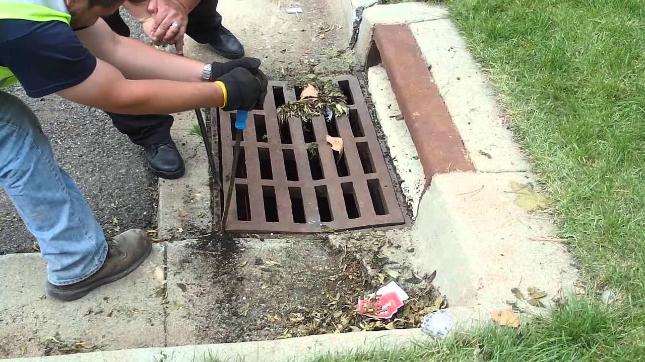 Saving Ducklings from certain death in the sewers