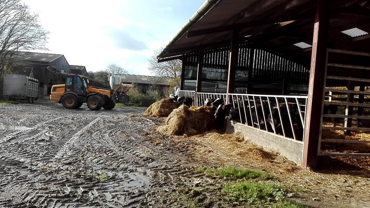 Jcb 310s and tanco bale shear.
