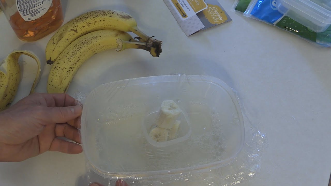 Worlds Best Gnat / Fruit Fly Trap  - It really works GREAT on those fruit Flies!
