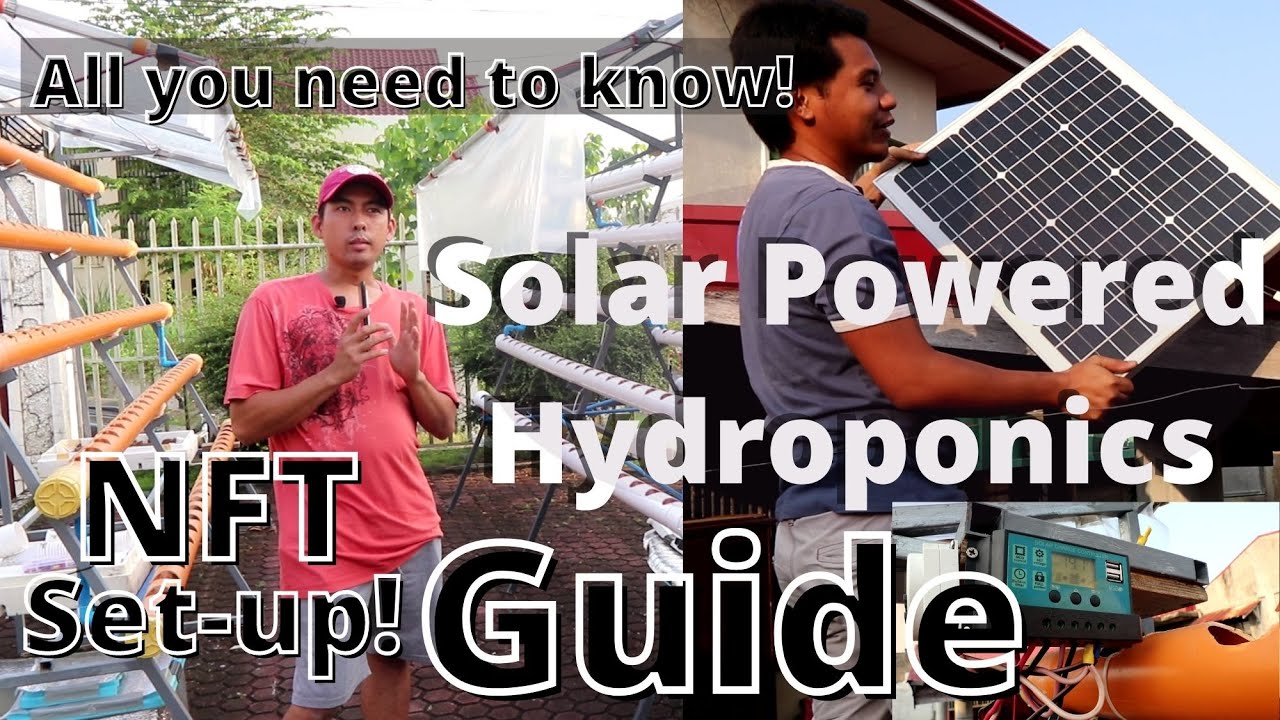 Solar Powered Hydroponics System | Mga dapat niyong malaman