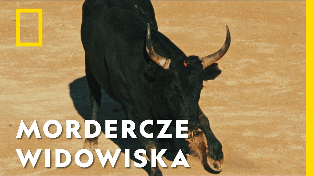 Zyskał wieczną sławę, przelewając hektolitry krwi | Gladiatorzy: starożytni wojownicy