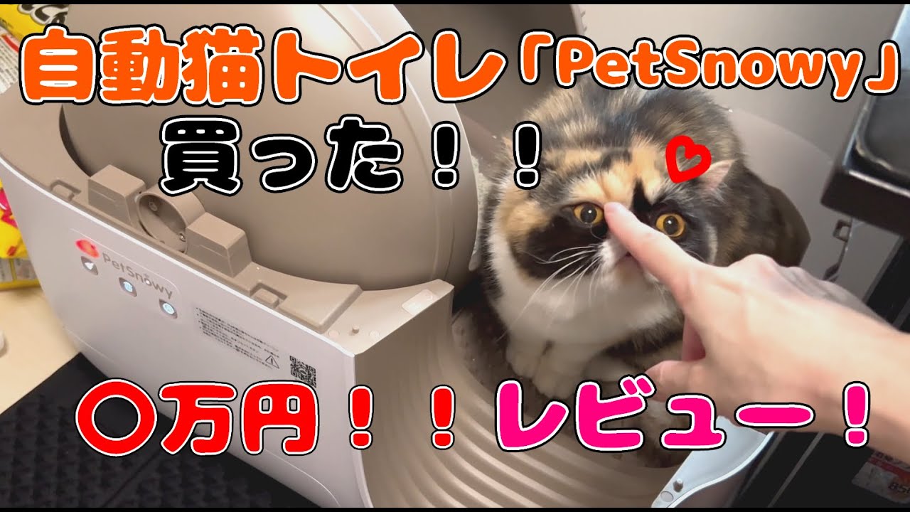 猫の新しい自動トイレ買ったのでレビュー！【PetSnowy】