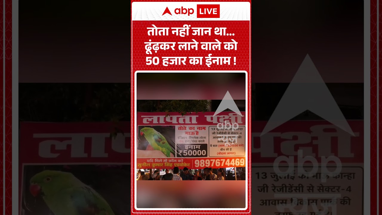 Viral Video : तोता नहीं जान था... ढूंढ़कर लाने वाले को 50 हजार का ईनाम !| #agranews #missingparrot