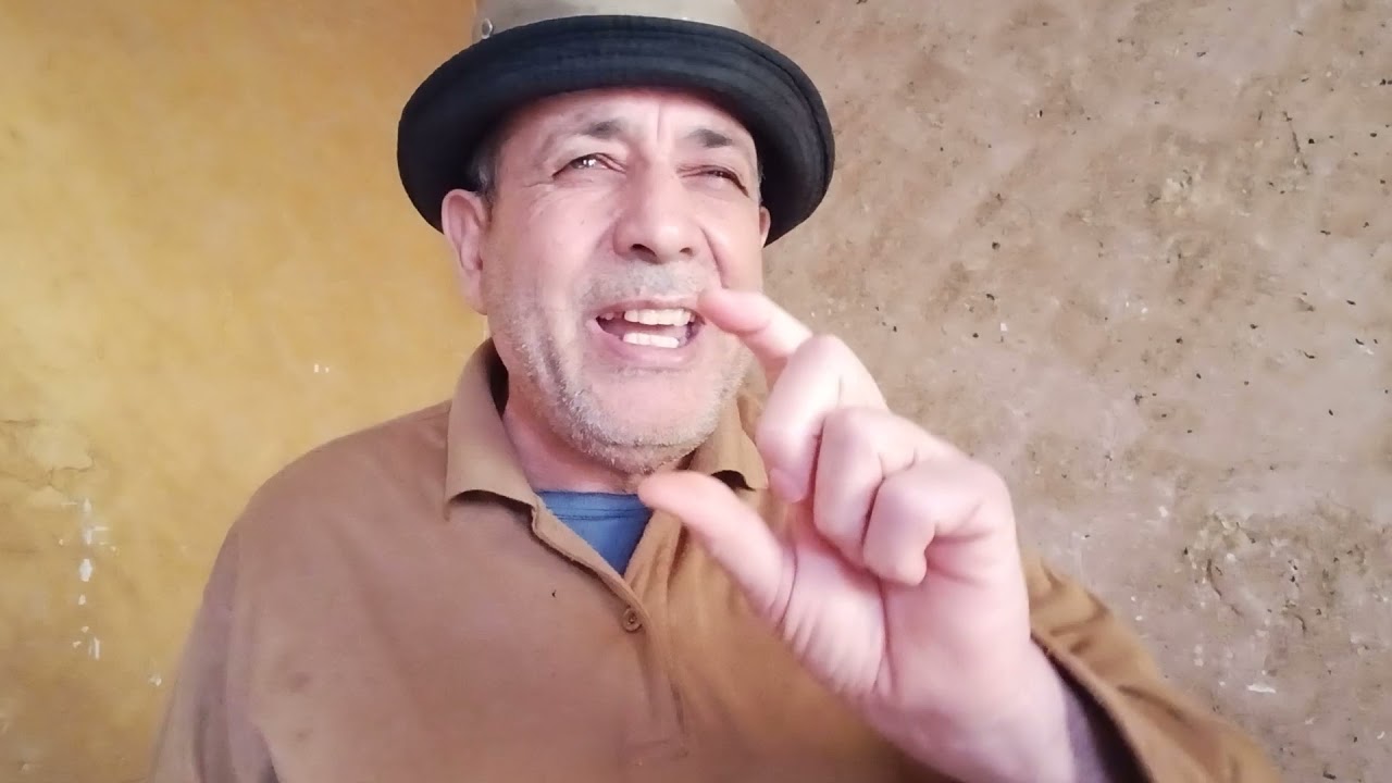 سلسلة تربية دجاج اللحم