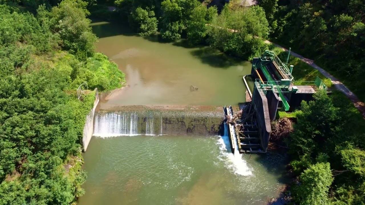Salto