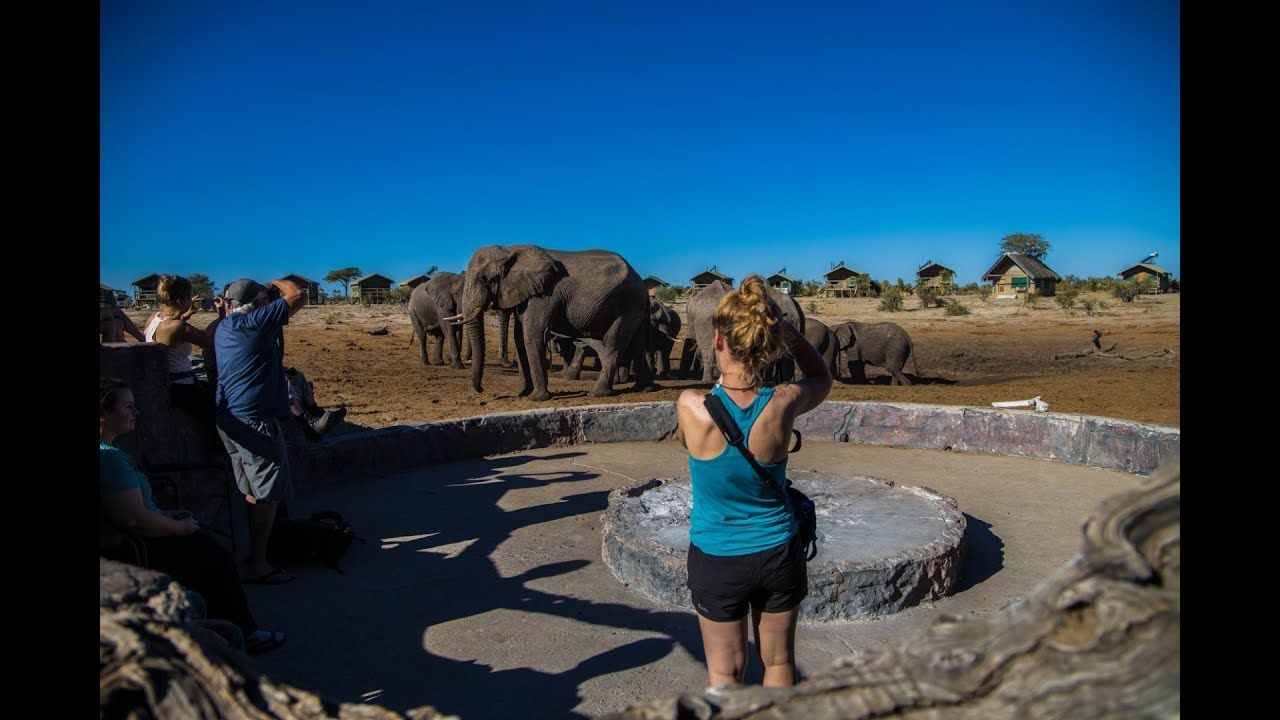 Africa4us - Elephant Sands