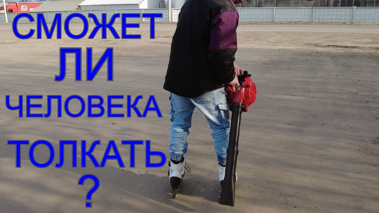 Мощная Воздуходувка Садовый пылесос Vitals