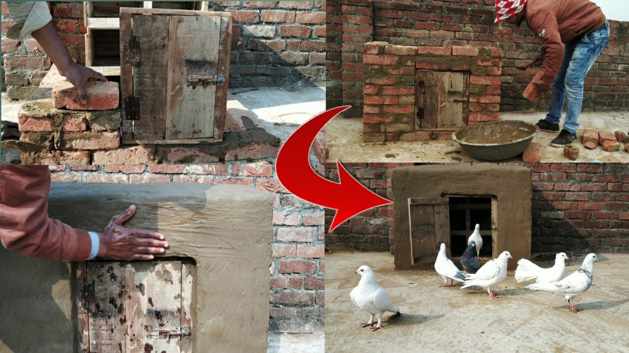 How To Make Pigeons Beautiful House | Some Easy Steps