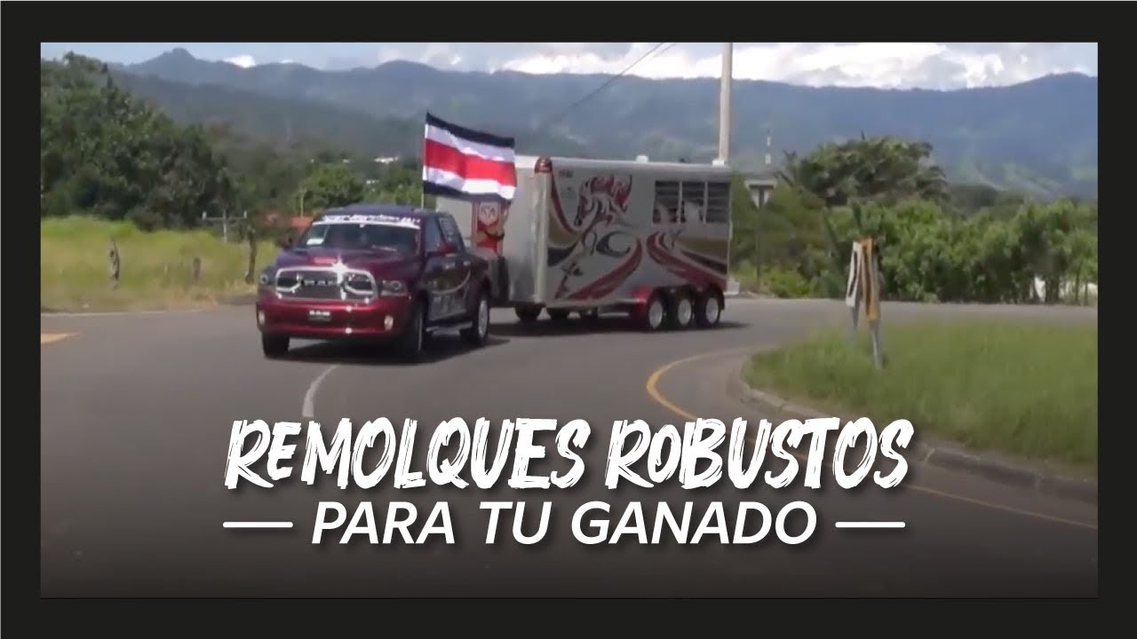 🤑🔥😱 Remolque para Caballos de LUJO | Remolques para TOROS - VACAS - GANADO