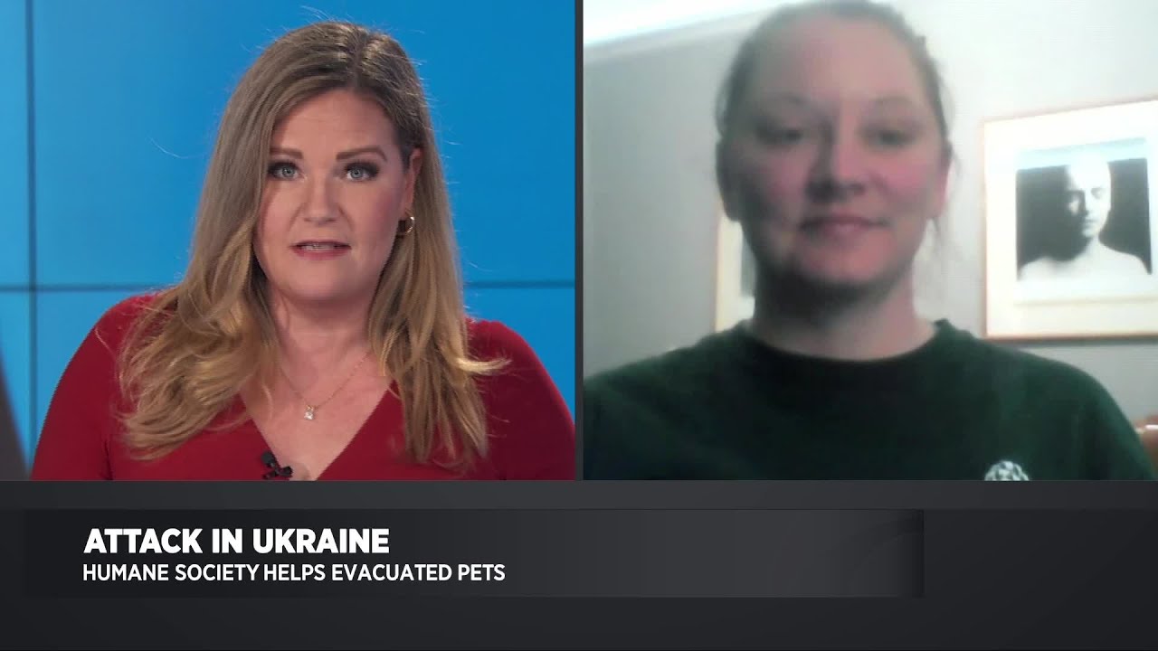 Humane Society Helps Evacuated Pets in Europe