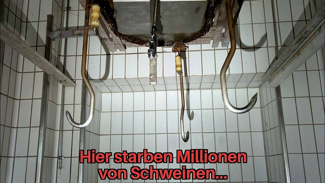 Lost Places Norddeutschland: DER SCHWEINE-SCHLACHTHOF