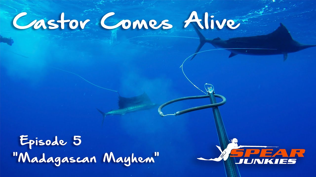 Spearfishing Madagascar - Spear Junkies Episode 5 