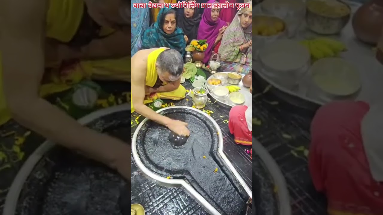 🌺🌿⚘️ बाबा वैद्यनाथ ज्योतिर्लिंग प्रातःकालीन पूजन 🌺🌿⚘️ 9/1/2026 #deoghar #babadham #bholenath #viral 