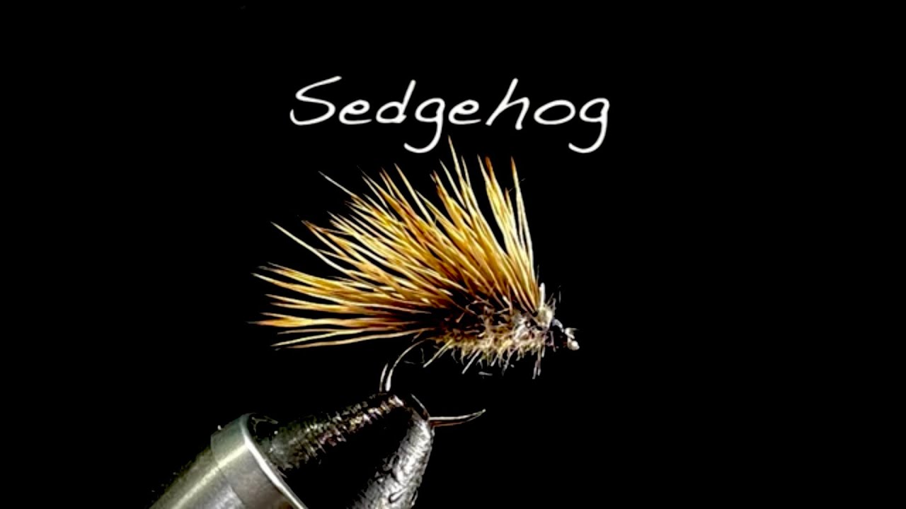 Tying a simple Sedgehog