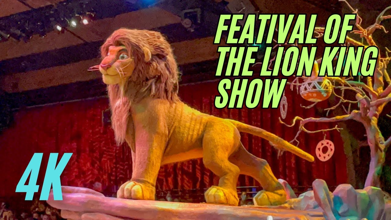 Festival of the Lion King in Disney World Animal Kingdom in 4K !! #disney #animalkingdom #lionking