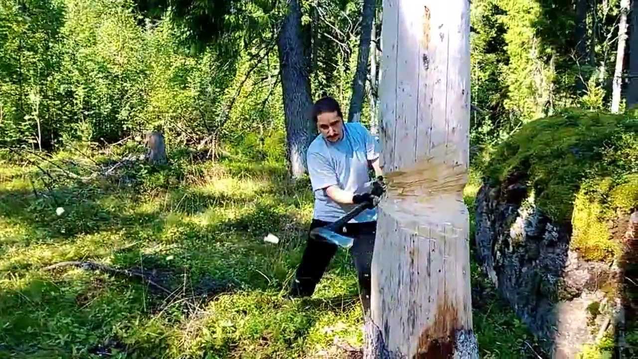 Бивуак в лесу