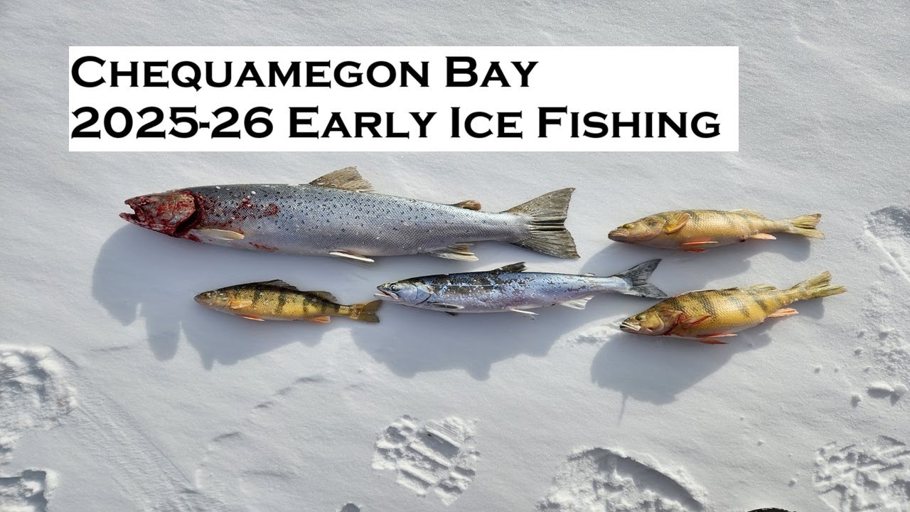 Chequamegon Bay Ice Fishing 2025-26 Early Ice