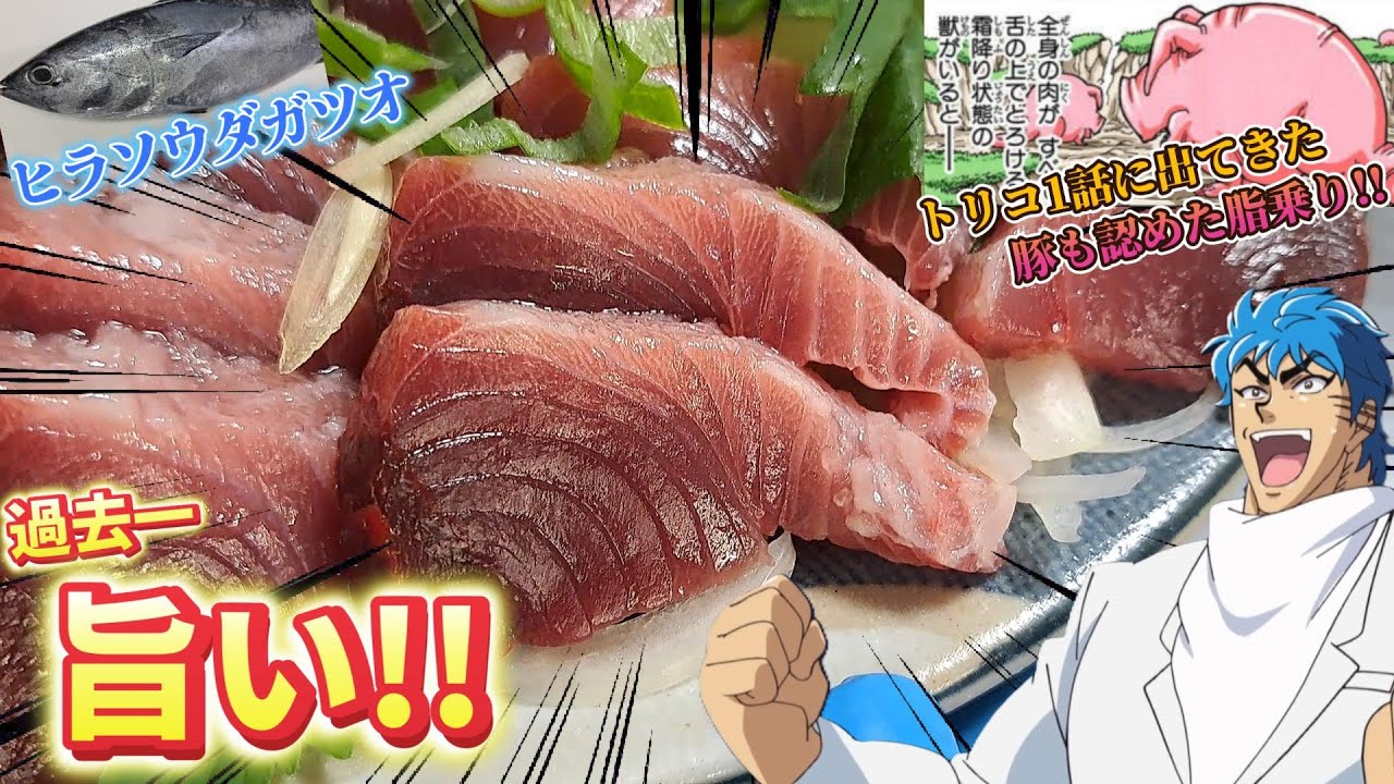 【今まで食ってたカツオは腐ってたのか！？】全身トロのヒラソウダガツオを調理する、自分をトリコだと思い込んでいる男【過去一】
